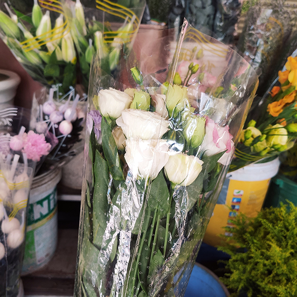 Combo trái cây và hoa cát tường